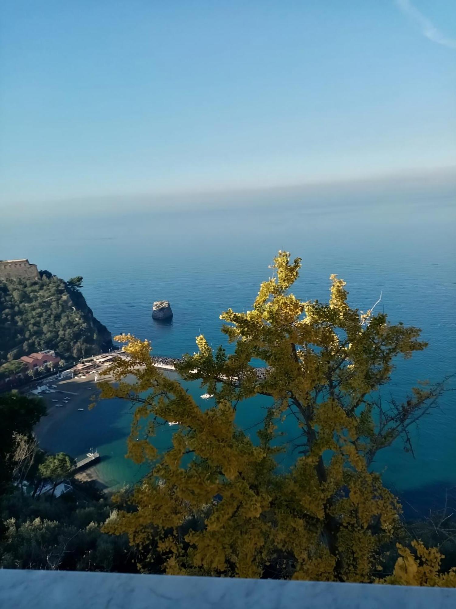Casalulu Holiday Home - Lovely Apartment Sorrento Coast 维克艾库塞 外观 照片